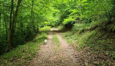 Precioso apartamento en el Pirineo Catalán - Foto 5