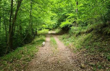 Precioso apartamento en el Pirineo Catalán - Foto 5