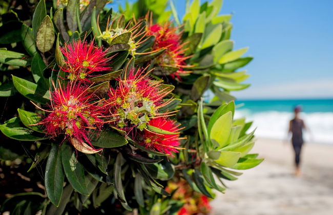 Tasman Holiday Parks – Beachaven - Foto 75