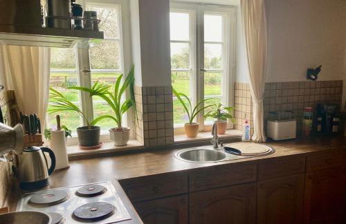 Ferienwohnung auf idyllischer Hofanlage in Lippe - Foto 15