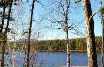 Cabin in the Pines New Hampshire Lakes Region White Mountains - Foto 2