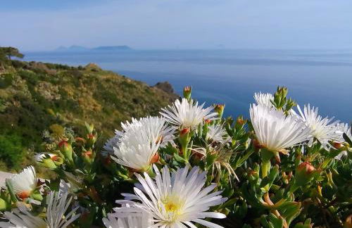 Oliveri house - Foto 8