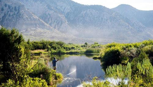 Luxury Safari Tents for Groups Only on Ranch near DeBeque, Colorado - Foto 3