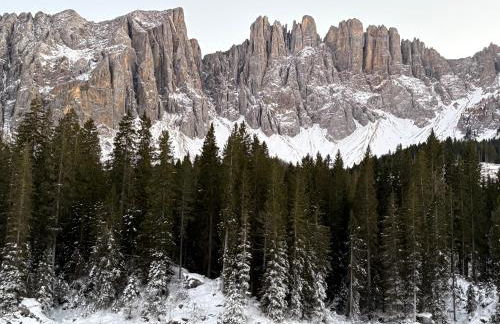 Chalet Tschattlhof Dolomites - Foto 27