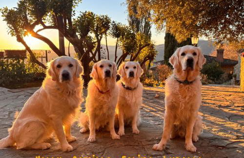 Poolhouse Oasi del Lupo - Foto 62