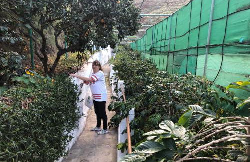 Casa Camino Tamadaba - Foto 41