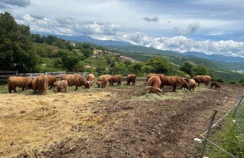 Da MammaMimma - Foto 30