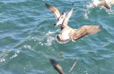 Casa Bica do Cais - By the Sea - Photo 6