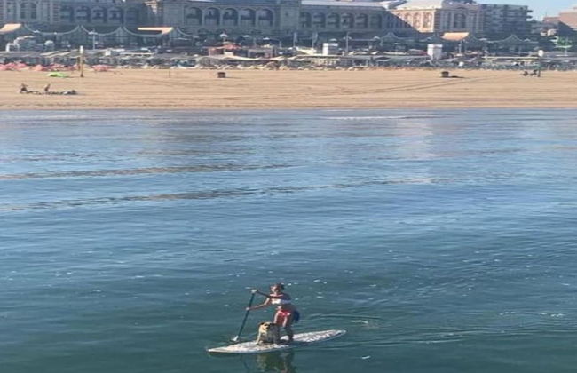 Spacious Modern Apartment in Scheveningen - Foto 59