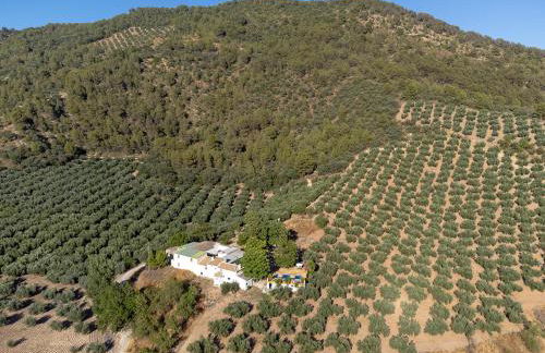 Cortijo Rural Las Nogueras - Foto 80