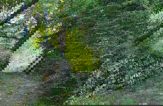 HURZ - Giardino Sannita - Foto 38