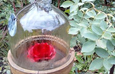 La tonnelle de Thoré - Foto 11