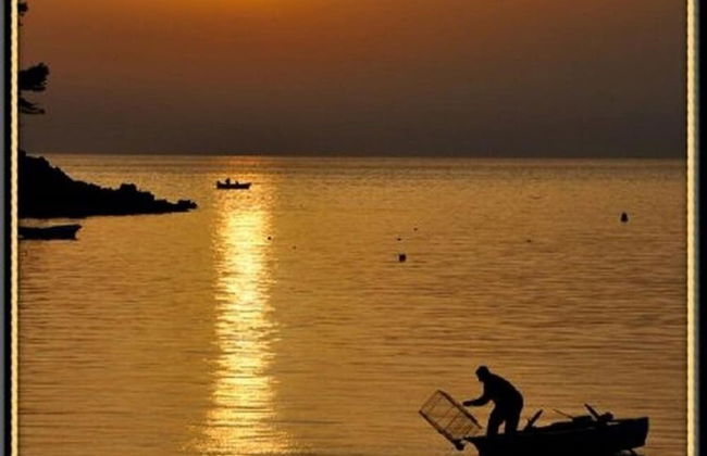 Apartment Danijela Mljet - Studio Apartment With Balcony and Sea View - Foto 18