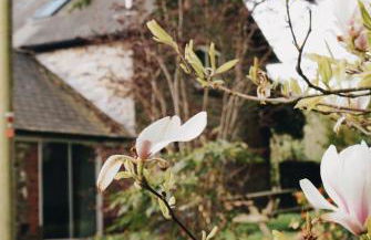 Courtyard Cottage - Photo 55