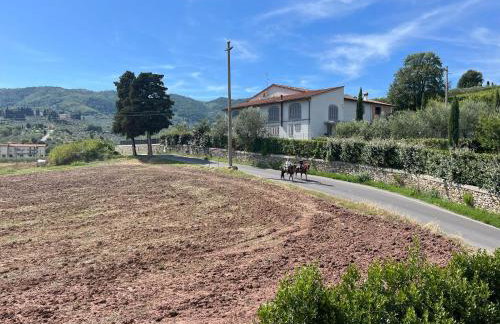 Lucciano Suite - Foto 4