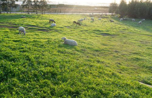 Herdade do Kuanza - Foto 36