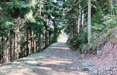 Willa Widokówka Lubawka - Foto 44