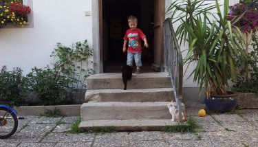 Gästehaus Grünberger - Foto 2, Other