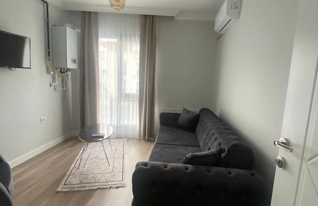 Qzen Suit Apart - Foto 9