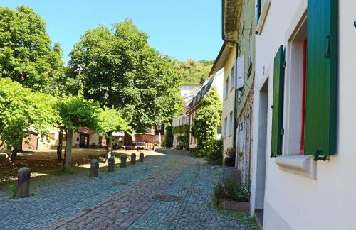 Löwe Apartment Gold Tiengen Altstadt - Foto 21