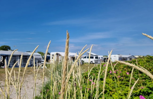First Camp Grenen Strand - Skagen - Foto 15