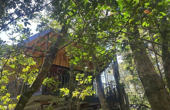 Cabañas Roca Verde Monteverde - Foto 23