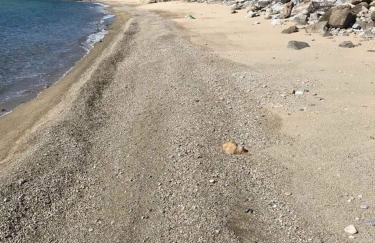 Seaside Folia Beach Kavala - Foto 20