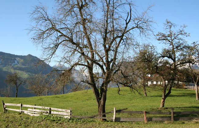 Eberharter - Foto 13