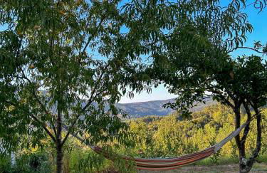 Casa de Fráguas - Foto 24