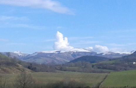 Axuri-alde - Foto 25