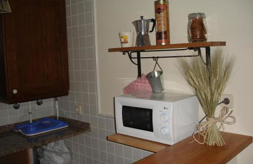 Apartamentos wifi Baqueira & Aigüestortes con jardín privado - Photo 11