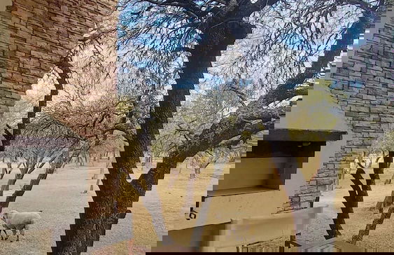 Cabañas El Principio - Foto 10