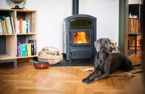 Ferienwohnung Oberförsterei Sosa I - Foto 20