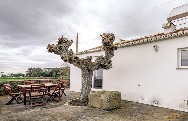 Casa dos Cal os in S o Mateus da Calheta - Photo 32