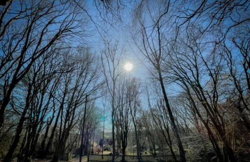 Nightingale Barn - Stunning & Huge - Foto 28