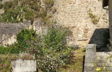 Gîte Férolle - Foto 26