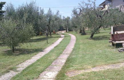 La Casetta di Barbara - Foto 33