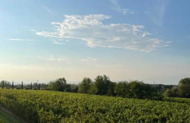 Villaggio Boschetti 10A - Foto 33