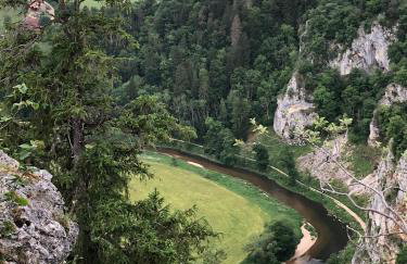 Ferienwohnung Jardin de lavande - Foto 23