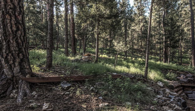 Rock'inn Pines by Ruidoso Vacation Rentals - Foto 2, Servicios del alojamiento