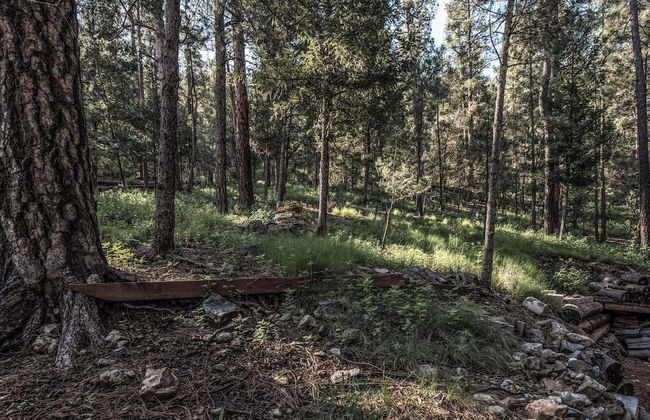 Rock'inn Pines - Foto 17