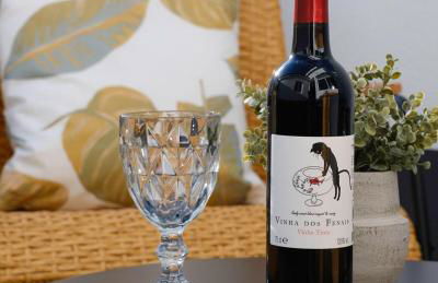 Carmo Family House - Azorean Home - Photo 22