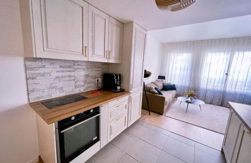 Grand appartement - Foto 14