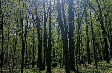 Domki Na Wzgórzu - domek nr 2 - Foto 18