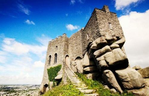 Honeysuckle Cabin - Photo 33