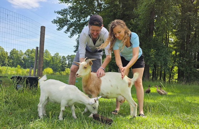 Phoenix Farms Vineyard - Foto 17