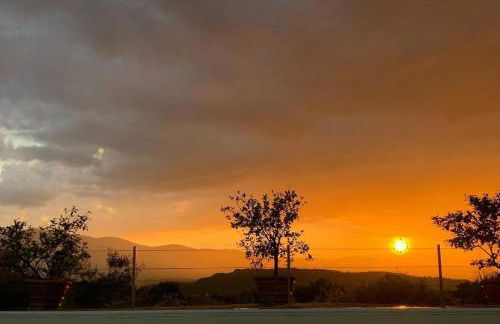 San Carlo a La Molinella - Photo 7