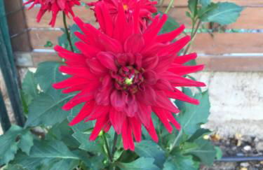 villa tsétsé - Foto 23