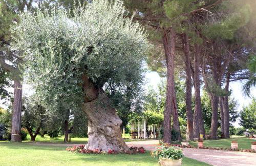 Agriturismo La Stornara - Foto 29