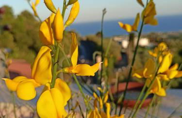 La Petite Maison - Foto 45